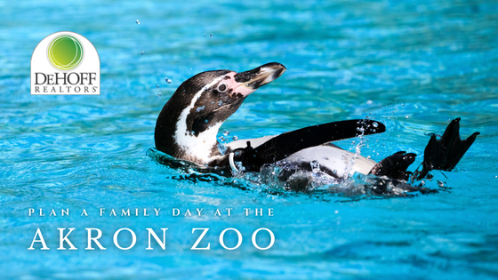 Family Day at The Akron Zoo - DeHOFF REALTORS®